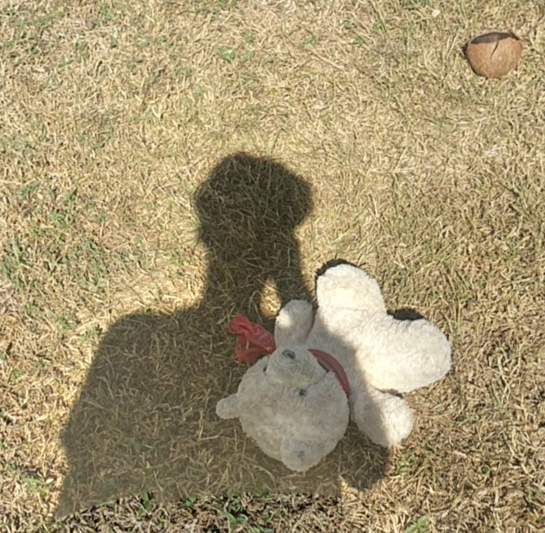 self portrait